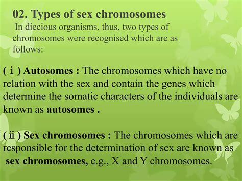 Sex Determination Chromosomal Theory Of Sex Determination PPT