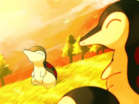 Pokemon Cyndaquil Wallpapers - Top Free Pokemon Cyndaquil Backgrounds ...