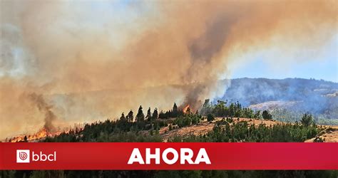 Amenaza A 80 Viviendas Incendio Forestal Descontrolado Obliga A