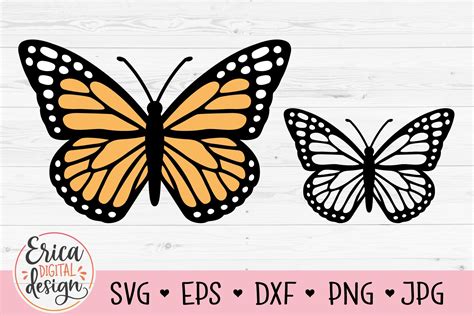 Free Silhouette Monarch Butterfly Svg Svg Png Eps Dxf File