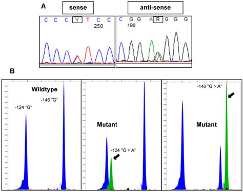 Representative Examples Of Tert Promoter Mutations Detected In Bladder