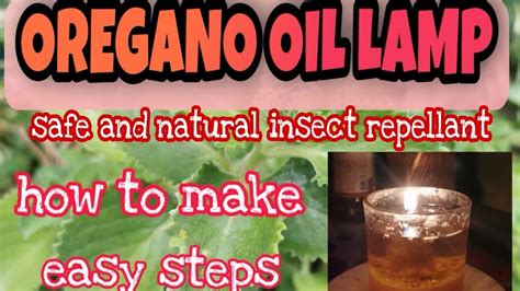 HOW TO MAKE OREGANO OIL LAMP YouTube