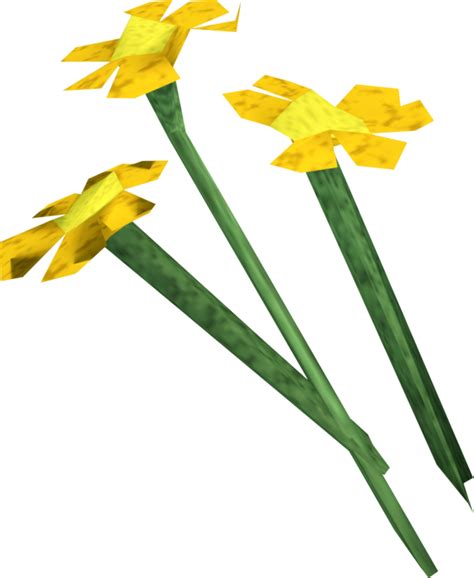 Orange Flowers The Runescape Wiki