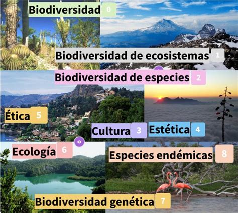 Importacia ética Estética Cultural Y Ecológica De La Biodiversidad 1