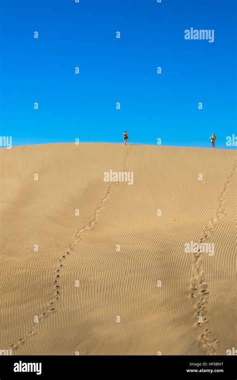 Sand Dunes At Maspalomas At Gran Canaria In Spain Stock Photo Alamy