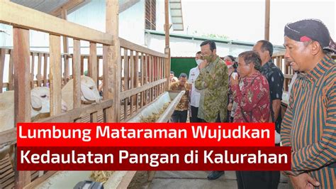 Lumbung Mataraman Wujudkan Kedaulatan Pangan Di Kalurahan YouTube