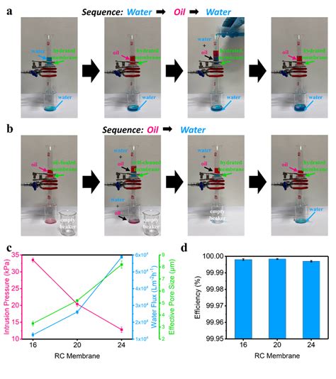 Oilwater Separation Of Regenerated Cellulose Membrane A Download Scientific Diagram