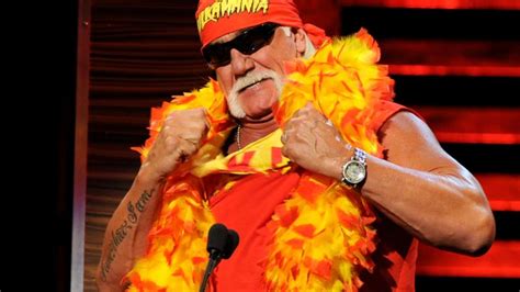 Hulk Hogan Sues Gawker Over Sex Tape Cnn