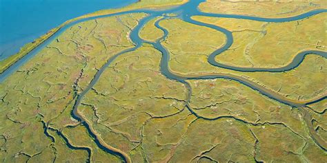 Conservation San Francisco Bay Joint Venture