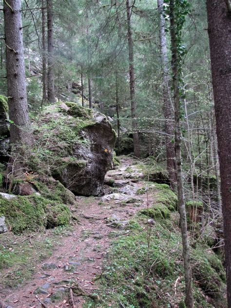 Sch Ner Wanderweg Fotos Hikr Org