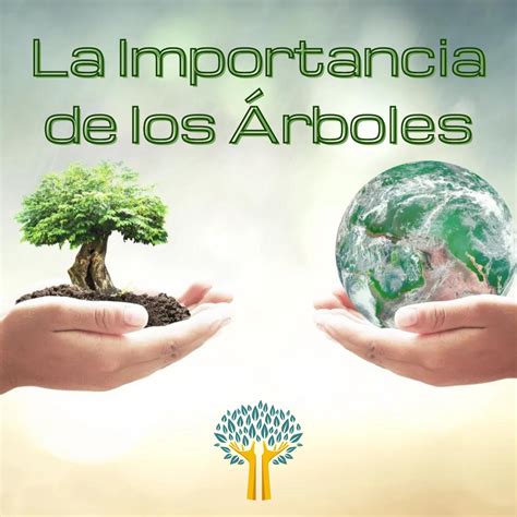 Details Importancia De Los Rboles Para El Medio Ambiente Abzlocal Mx