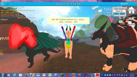 Dragons Life Roblox What Has Become Of This Xd Youtube