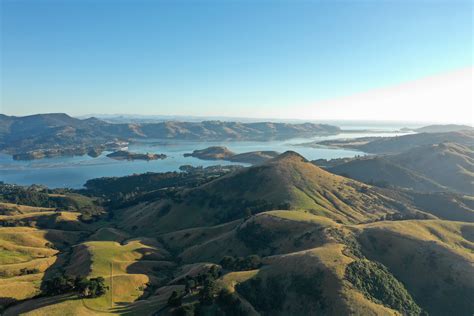 Otago Peninsula - Commodore Motel Dunedin