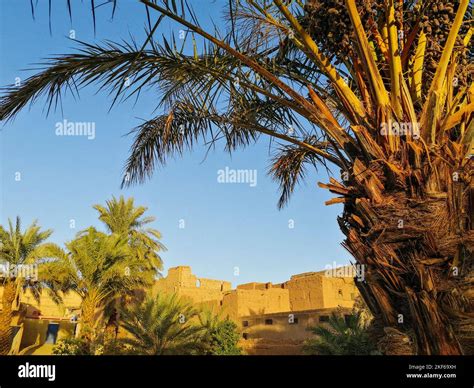 Morocco, Zagora, oasis Stock Photo - Alamy