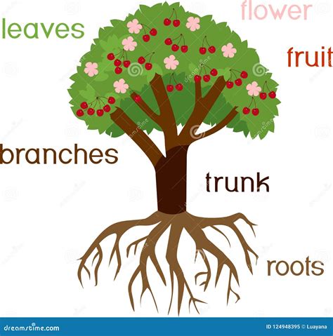 Tree System Cartoon Vector 9588945