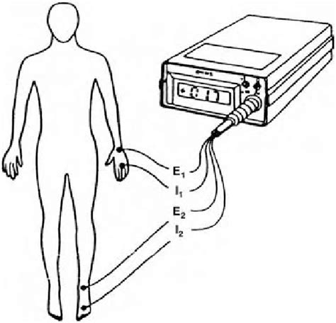 1 Representative Diagram Of Bioelectric Impedance Measurement From Download Scientific