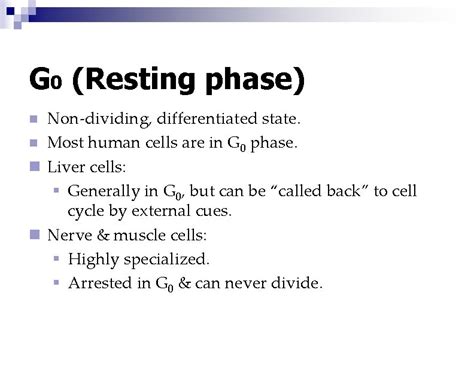 Cell Growth Division Biology Pearland Isd Cell Division