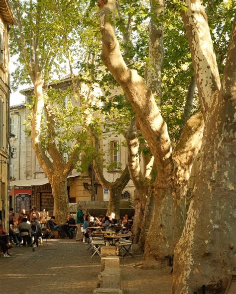 23 Captivating Things to Do in Avignon: Insider's Guide - Cultured Voyages