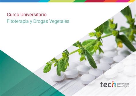 PDF Curso Universitario Fitoterapia Y Drogas Vegetales Las Plantas