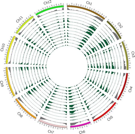 Genome Wide Sequence Variations Between Wild And Cultivated Tomato