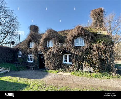 Welsh Woodland Cottage Stock Photo Alamy