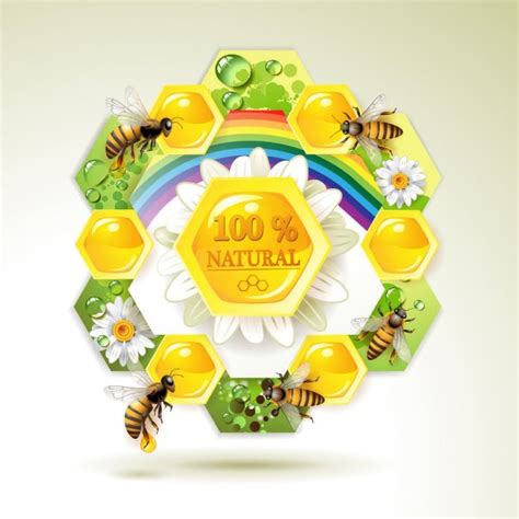 Bees And Honeycombs Stock Vector Image By ©merlinul 6485011