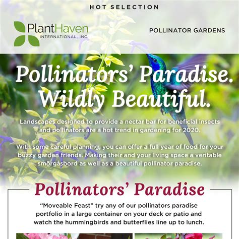 Planthaven Hot Selection Pollinator Gardens Planthaven International