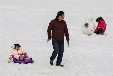 雪后沈阳市民扎堆堆雪人 男女老少齐上阵滚雪球南方雪后新浪新闻