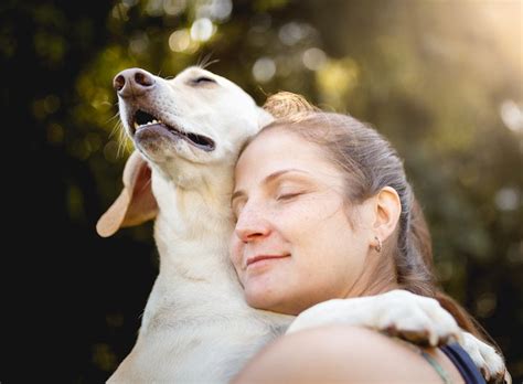 Science Explains Why Dogs Love Humans Yummypets