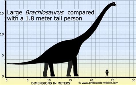 Top 10 Sauropods/Titanosaurs | Prehistoric animals, Dinosaur silhouette, Brachiosaurus