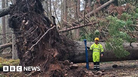 Thousands Of Homes Still Without Power After Storm Gerrit Top News