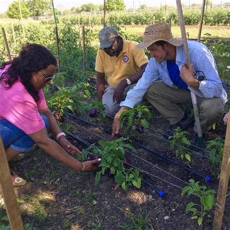 Farmer Training Program At Hope Farms Recipe For Success