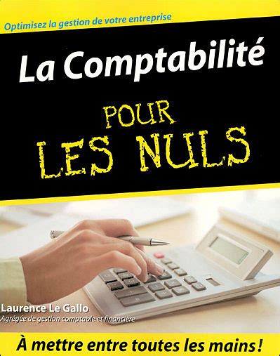 Pour Les Nuls La comptabilité pour les nuls Laurence LE GALLO