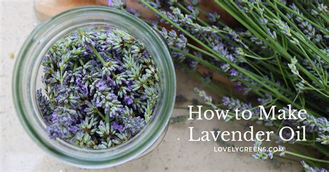 How To Make Lavender Oil A Step By Step Guide • Lovely Greens