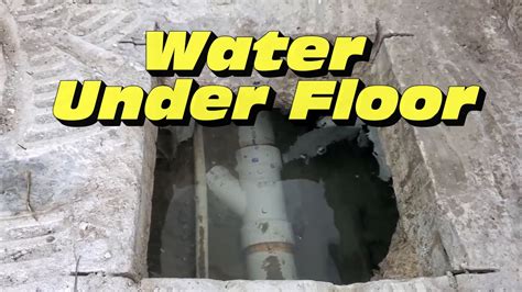 Flooded Yard Causes Major Problems Complete Yard Drain System How To