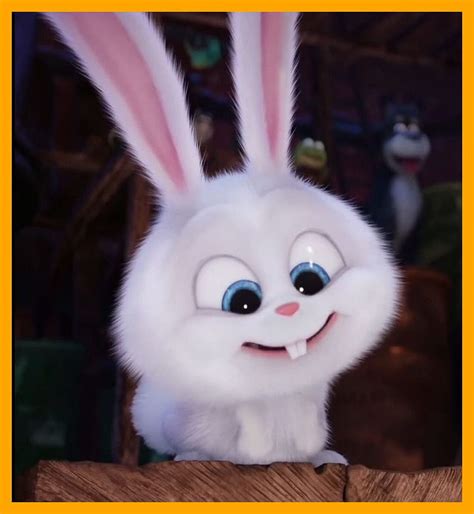 Discover more than 82 snowball rabbit wallpaper hd latest - 3tdesign.edu.vn