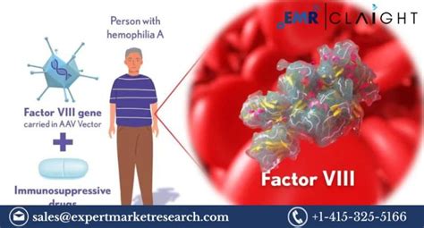 Adeno Associated Virus Vector Based Gene Therapy Market