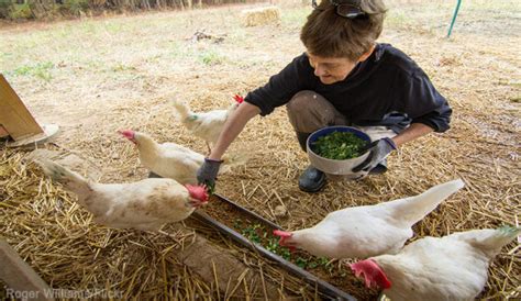 How To Find A Trustworthy Farm Sitter Hobby Farms