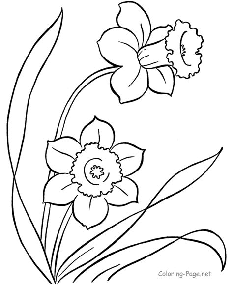 Free Coloring Pages Poppy Flower, Download Free Coloring Pages Poppy Flower png images, Free ...