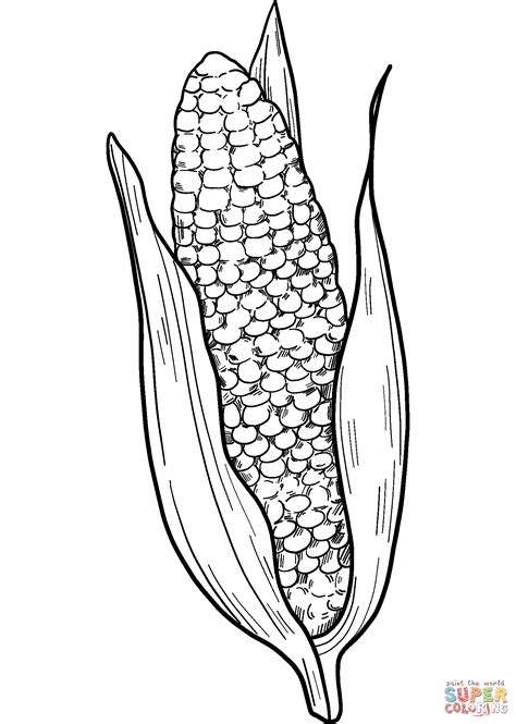 Aprender Acerca Imagen Dibujo De Elote Para Ni Os Abzlocal Mx