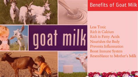 Treasure the Amazing Nutritional Health Benefits of Goat Milk