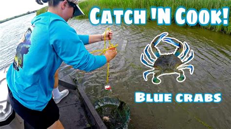 Catch N Cooking Blue Crabs With Nets Youtube