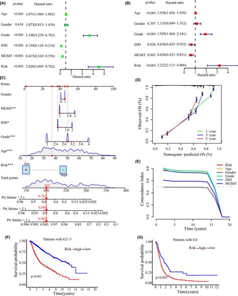 Analysis Of Independent Prognostic Factors A B Forest Plots Showing