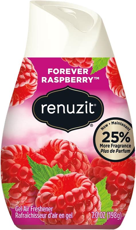 Amazon Renuzit Adjustable Solid Gel Air Freshener Forever