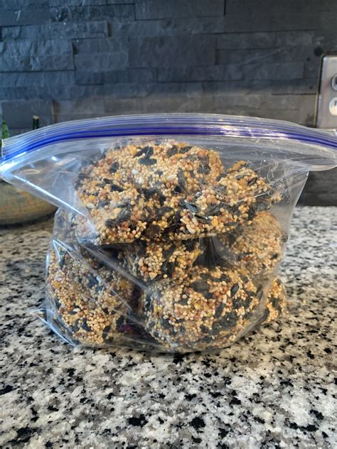 Diy Bird Suet Recipe