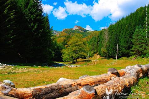 Fotografii Valcea Imagini Cu Peisaje Din Judetul Valcea