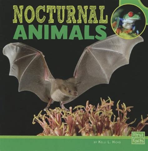 20 NOCTURNAL ANIMALS BOOKS - Mrs. Jones Creation Station