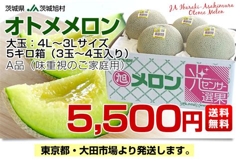 茨城県産 Ja茨城旭村 オトメメロン A品 4lから3lサイズ 5キロ箱 3玉から4玉 送料無料 メロン めろん 青肉メロン 市場発送