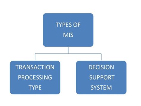 MIS MANAGEMENT INFORMATION SYSTEM