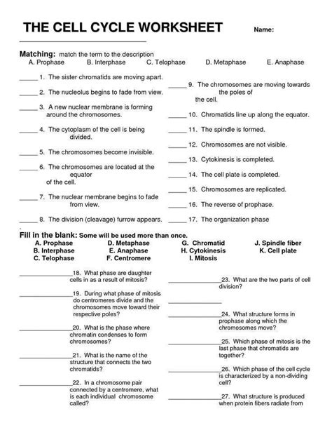 Cell Reproduction Worksheet Answers As Well As Cell Division And The